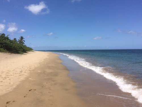 Nevis luv2holidayinthesun review images