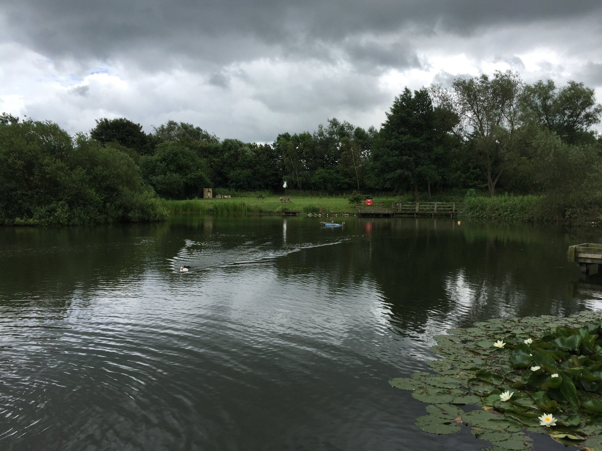 Sugar Mill Ponds Rawcliffe Bridge - All You Need To Know BEFORE You Go ...