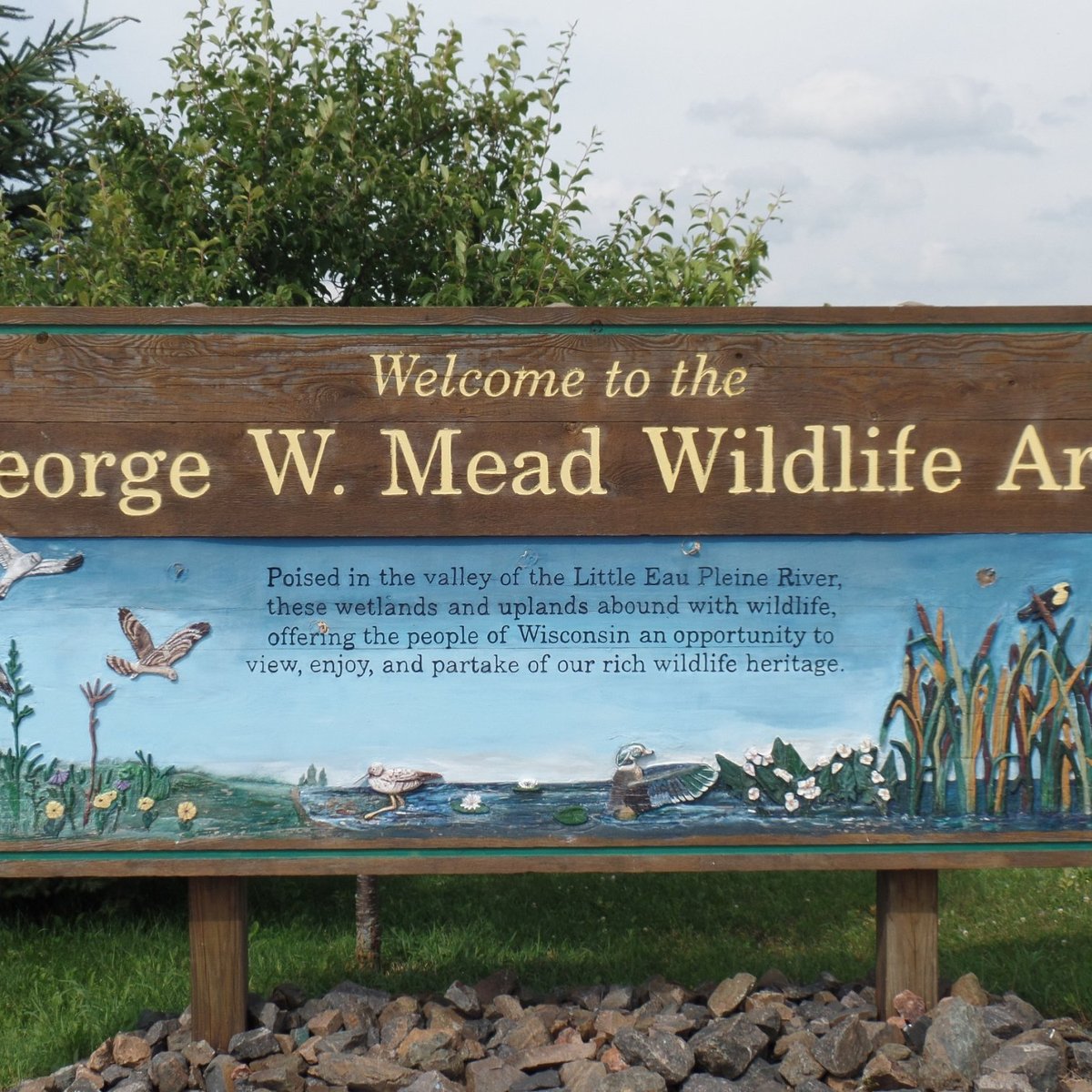 George W. Mead Wildlife Area - All You Need to Know BEFORE You Go 