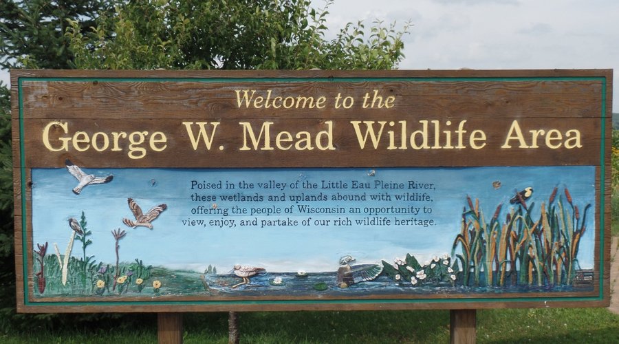 George W. Mead Wildlife Area - All You Need to Know BEFORE You Go 