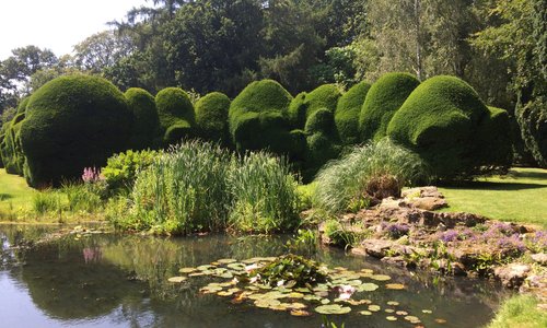 Doddington Place Gardens