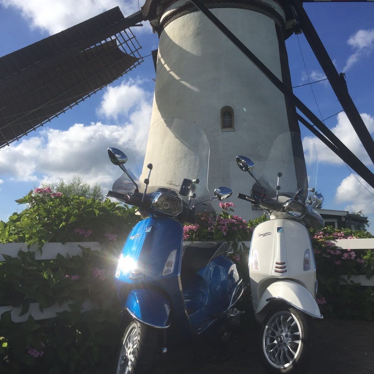 Holland Vespa Tours, Роттердам: лучшие советы перед посещением - Tripadvisor