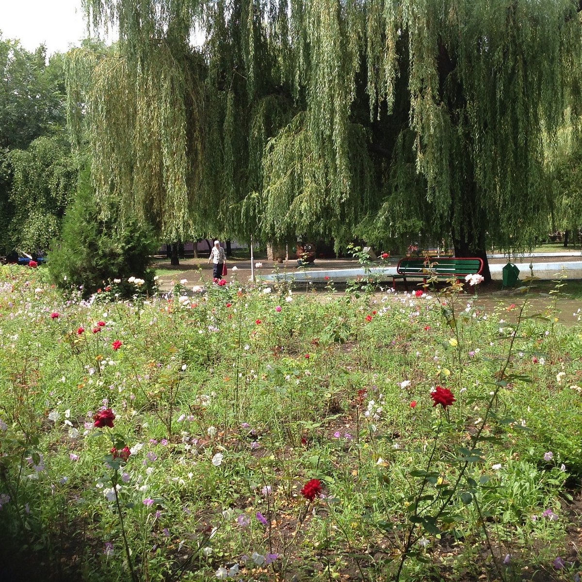 Городской парк, Минеральные Воды: лучшие советы перед посещением -  Tripadvisor