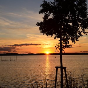 Blick von der Terasse des Hotels auf die Müritz