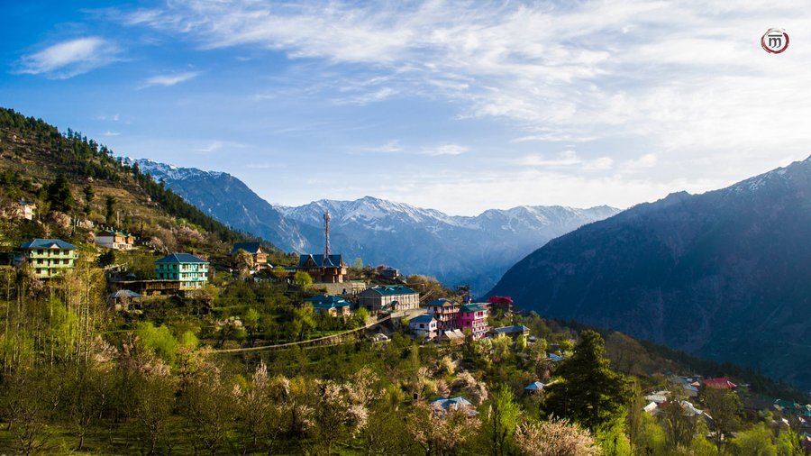 RAKPA REGENCY (Kalpa, Himachal Pradesh) - Hotel Reviews & Photos ...