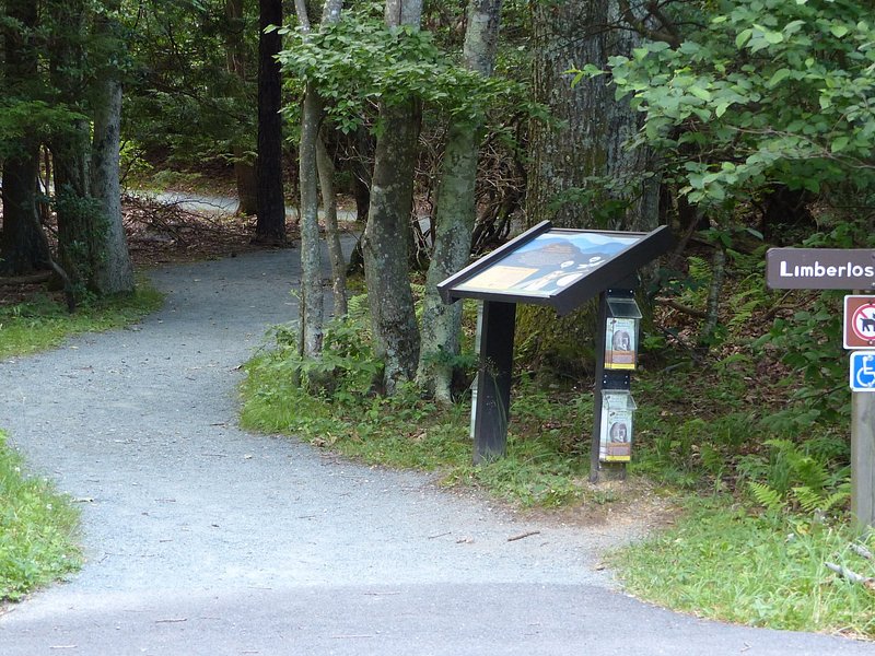Shenandoah National Park, VA 2024 Best Places to Visit Tripadvisor