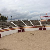 арена