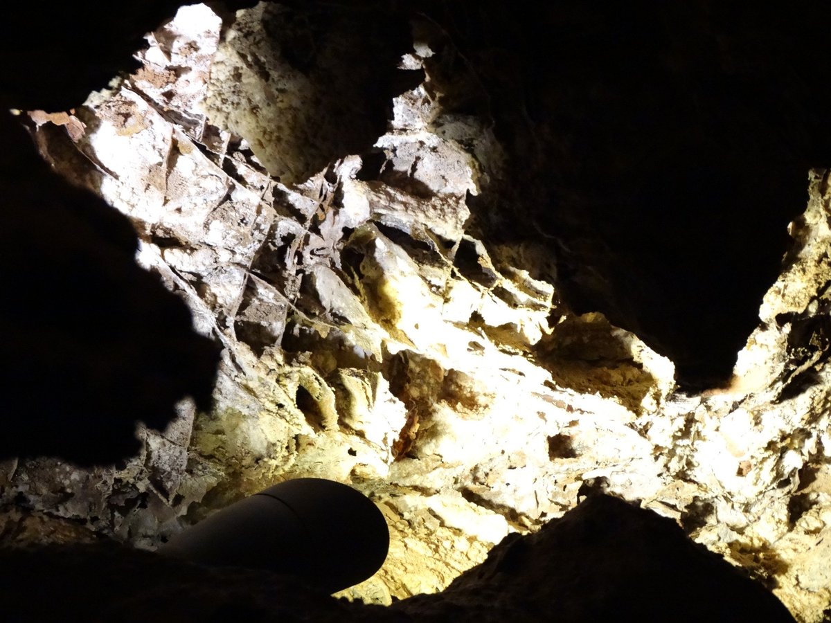 22年 Wind Cave National Park 行く前に 見どころをチェック トリップアドバイザー