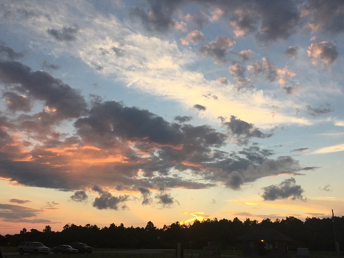 Whole Foods Grand Opening - West Cary, NC - Blue Skies for Me Please