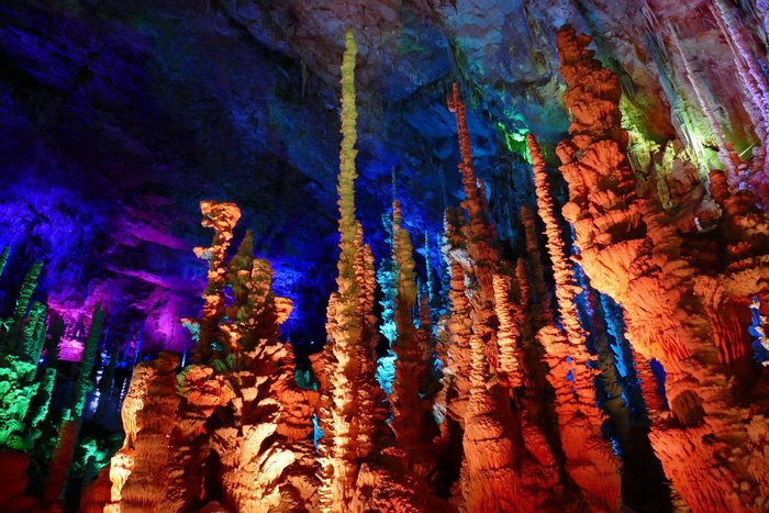 Forêt de stalagmites