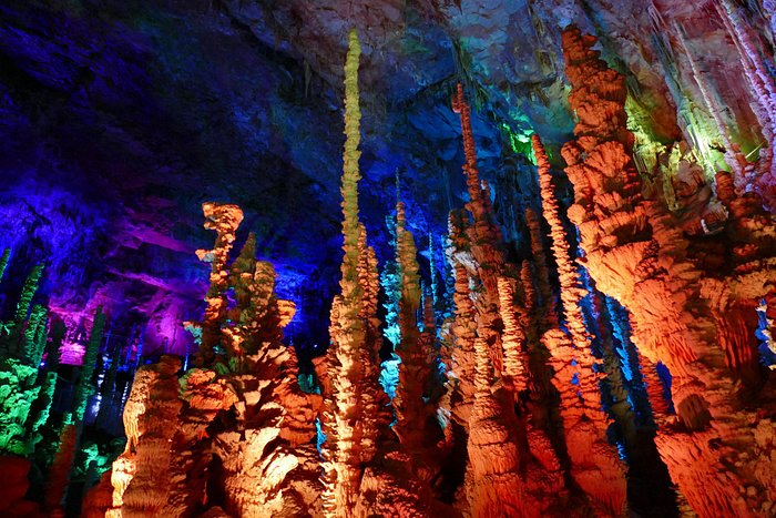 Forêt de stalagmites