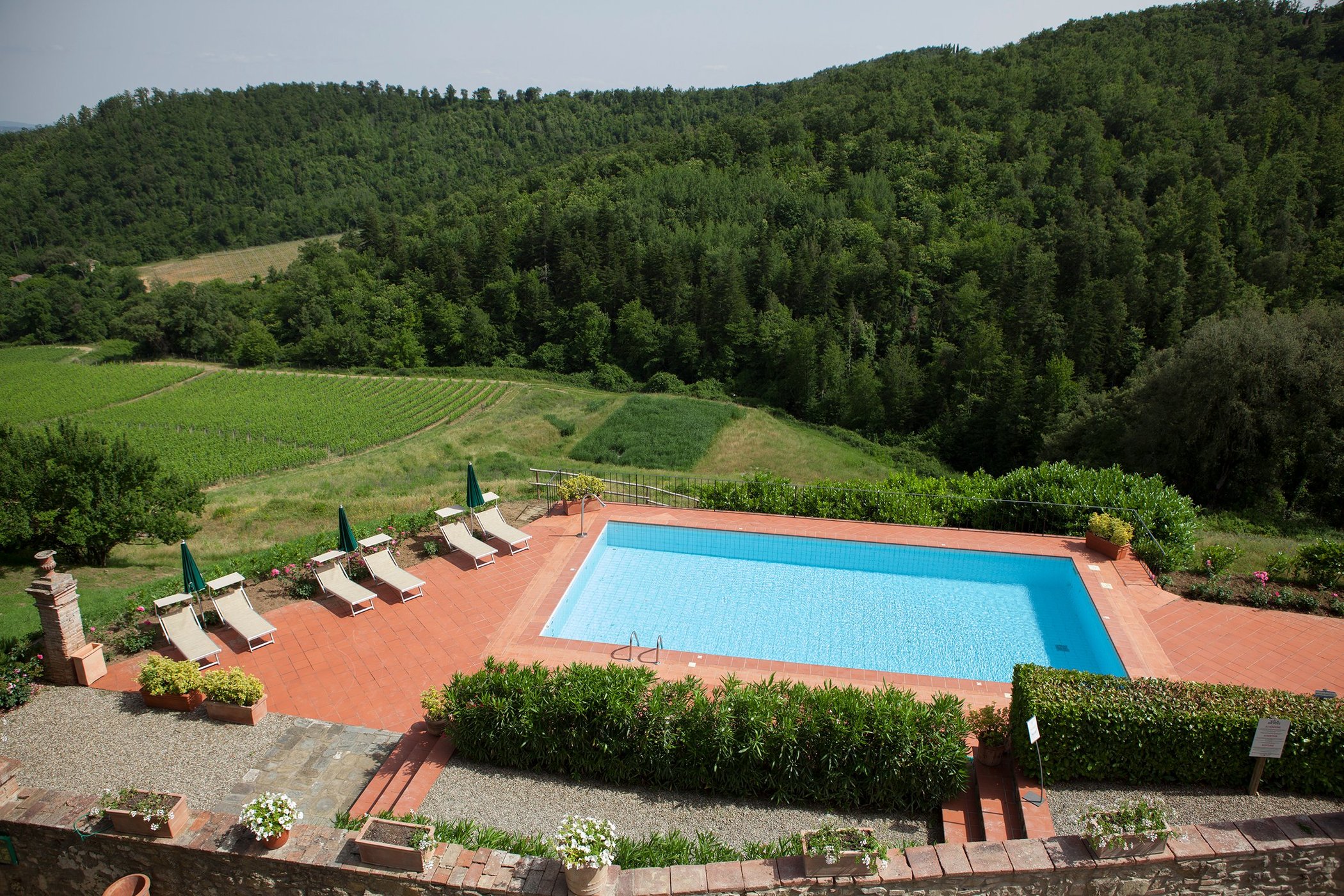 Dievole Wine Resort by null