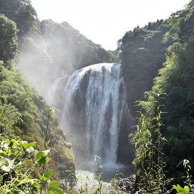 鹿児島県の滝 鹿児島県の 10 件の滝をチェックする トリップアドバイザー