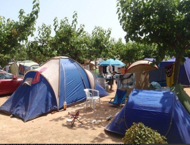 Imagen 3 de Camping La Unión