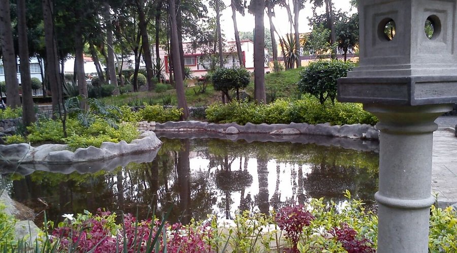 Un pequeño espejo de agua en el parque.