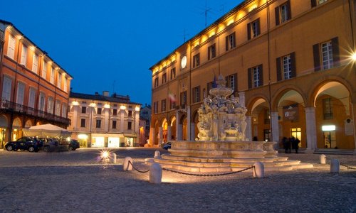 cesena Naight