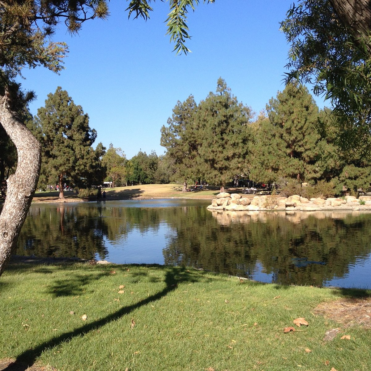 Labanoras Regional Park.