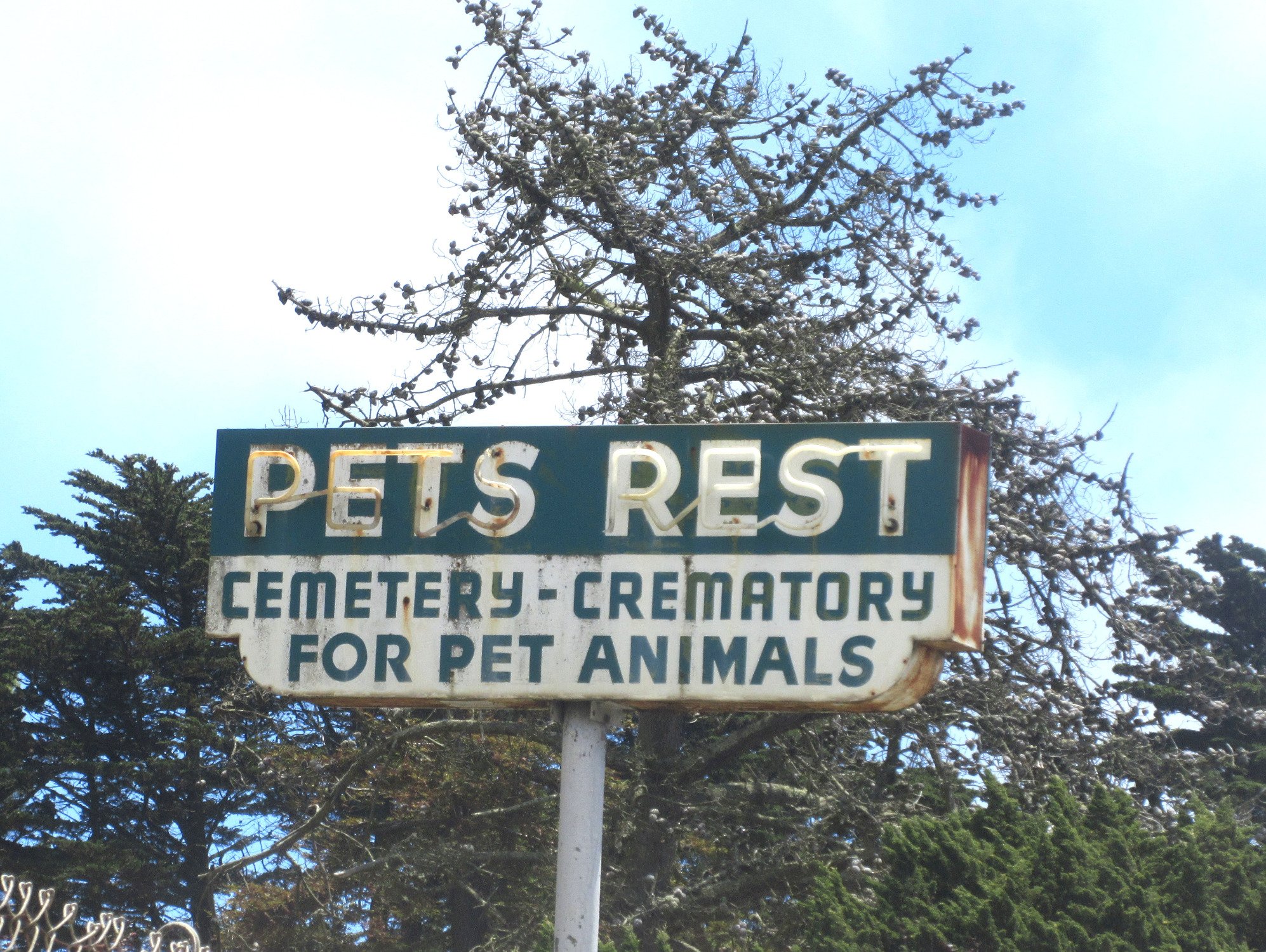 Loving rest pet cemetery & sale crematory