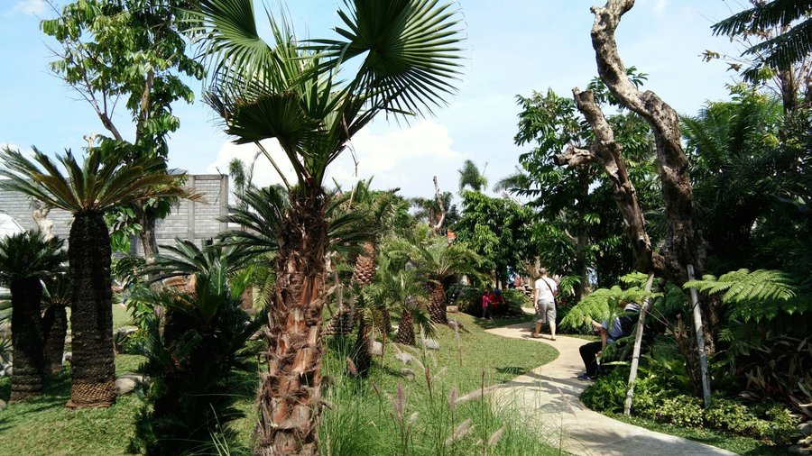 Taman Peta