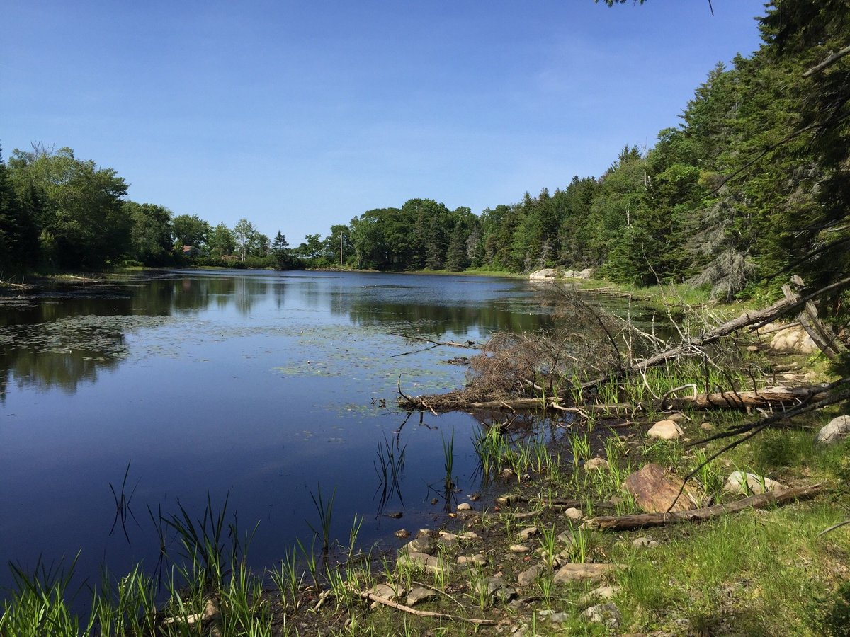 Boothbay Region Land Trust (Boothbay Harbor) - All You Need to Know ...