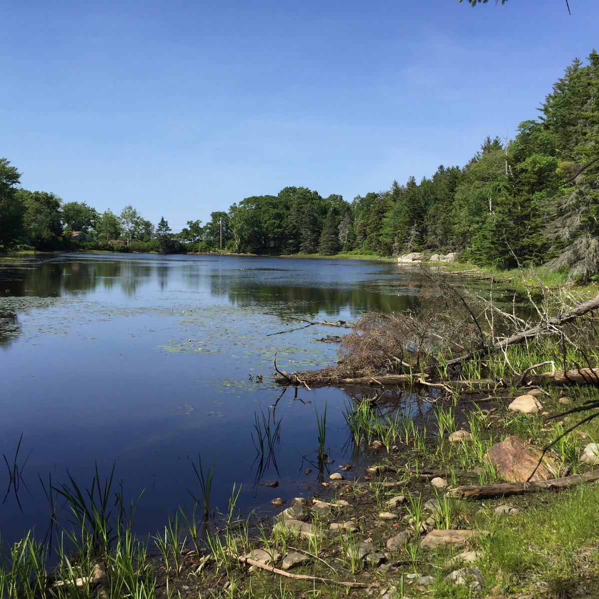 Boothbay Region Land Trust (Boothbay Harbor) - All You Need to Know ...