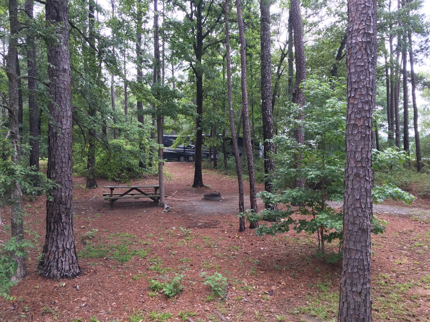 DAMES FERRY PARK Campground Reviews (Kathleen, GA)