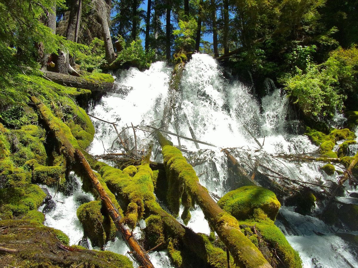 Clearwater Falls (Roseburg) - All You Need to Know BEFORE You Go