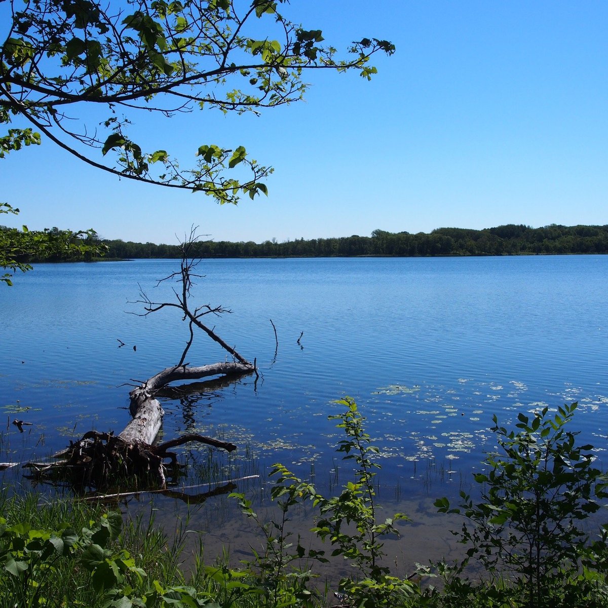 Maplewood State Park (Pelican Rapids): All You Need to Know