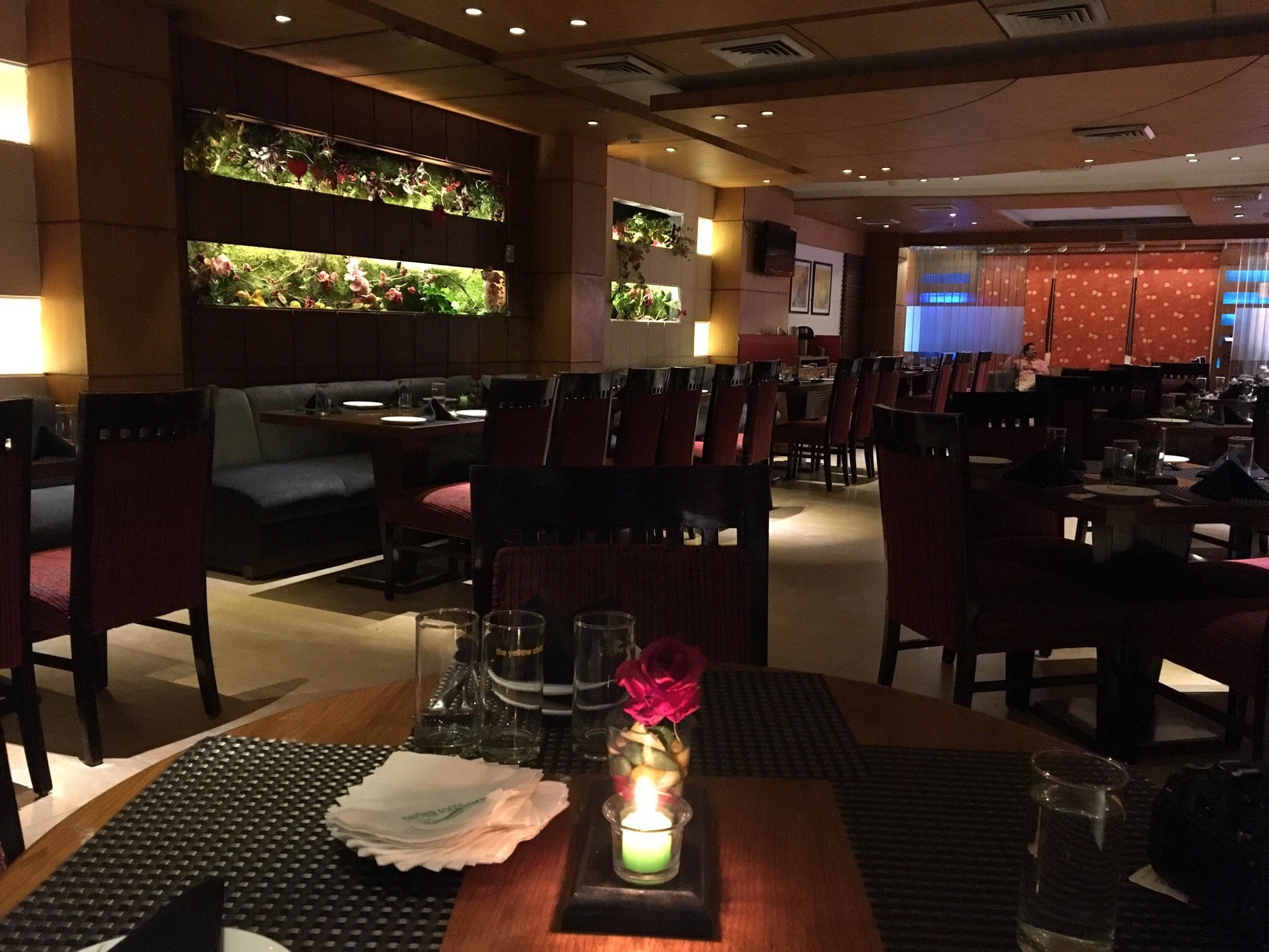 What are some good gluten free restaurants in Ludhiana? Explore these options for your next meal out.