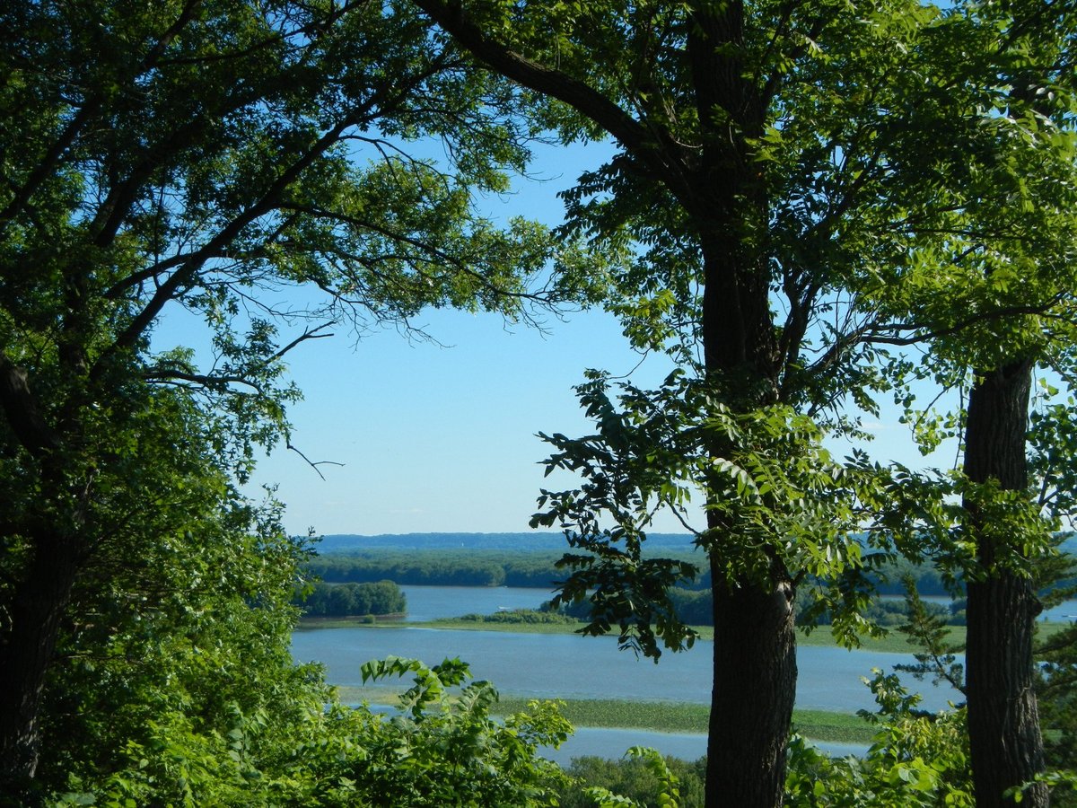 Escape to the Bluffs:  A Guide to Mississippi Palisades State Park