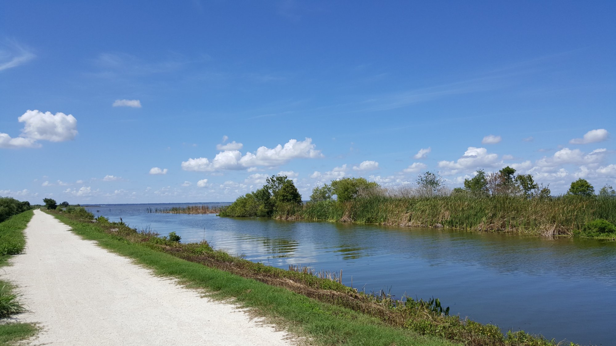 LAKE APOPKA WILDLIFE TRAIL - All You Need To Know BEFORE You Go