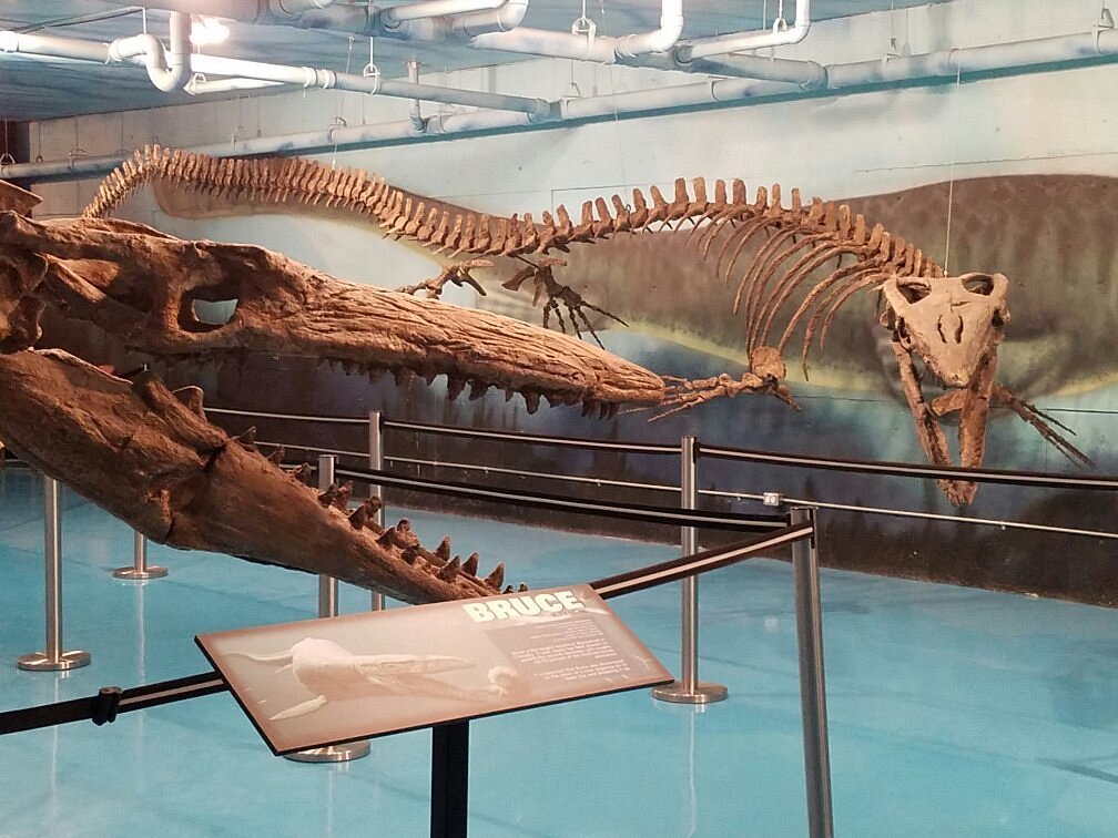 Canadian Fossil Discovery Centre - All You Need to Know BEFORE You