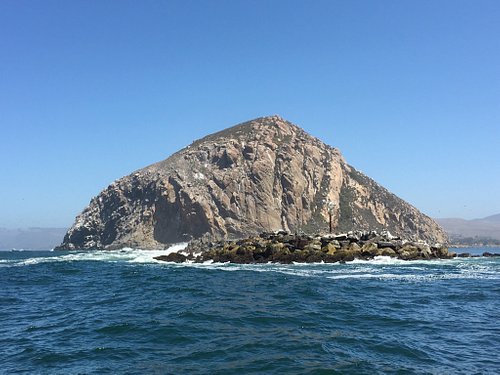 THE 15 BEST Things to Do in Morro Bay (Updated 2024)