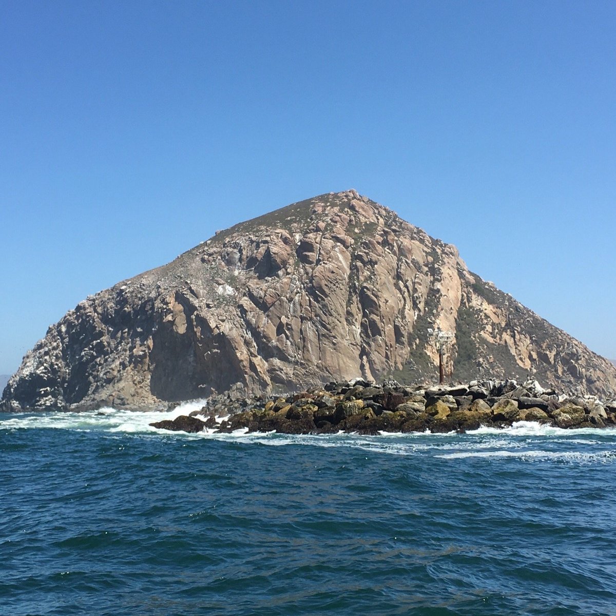 Morro Rock, Морро-Бэй: лучшие советы перед посещением - Tripadvisor