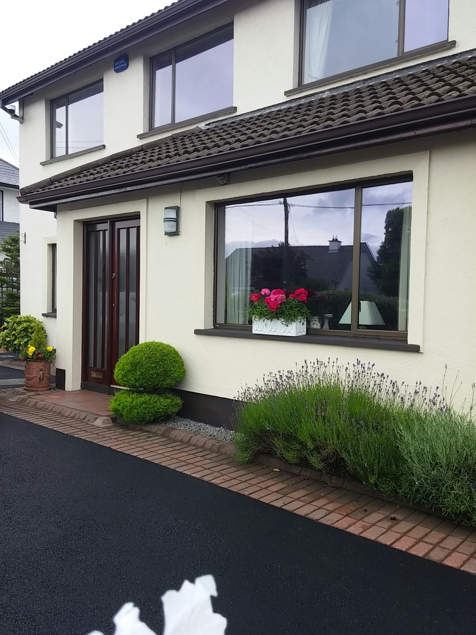 TREE TOPS BED AND BREAKFAST - B&B Reviews (Sligo, Ireland)