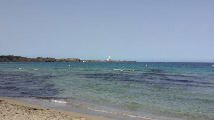 Imagen 10 de Playa d'en Tortuga