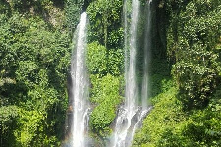 Sekumpul waterfall trekking point...7 waterfalls on one large area for nice experience on north 