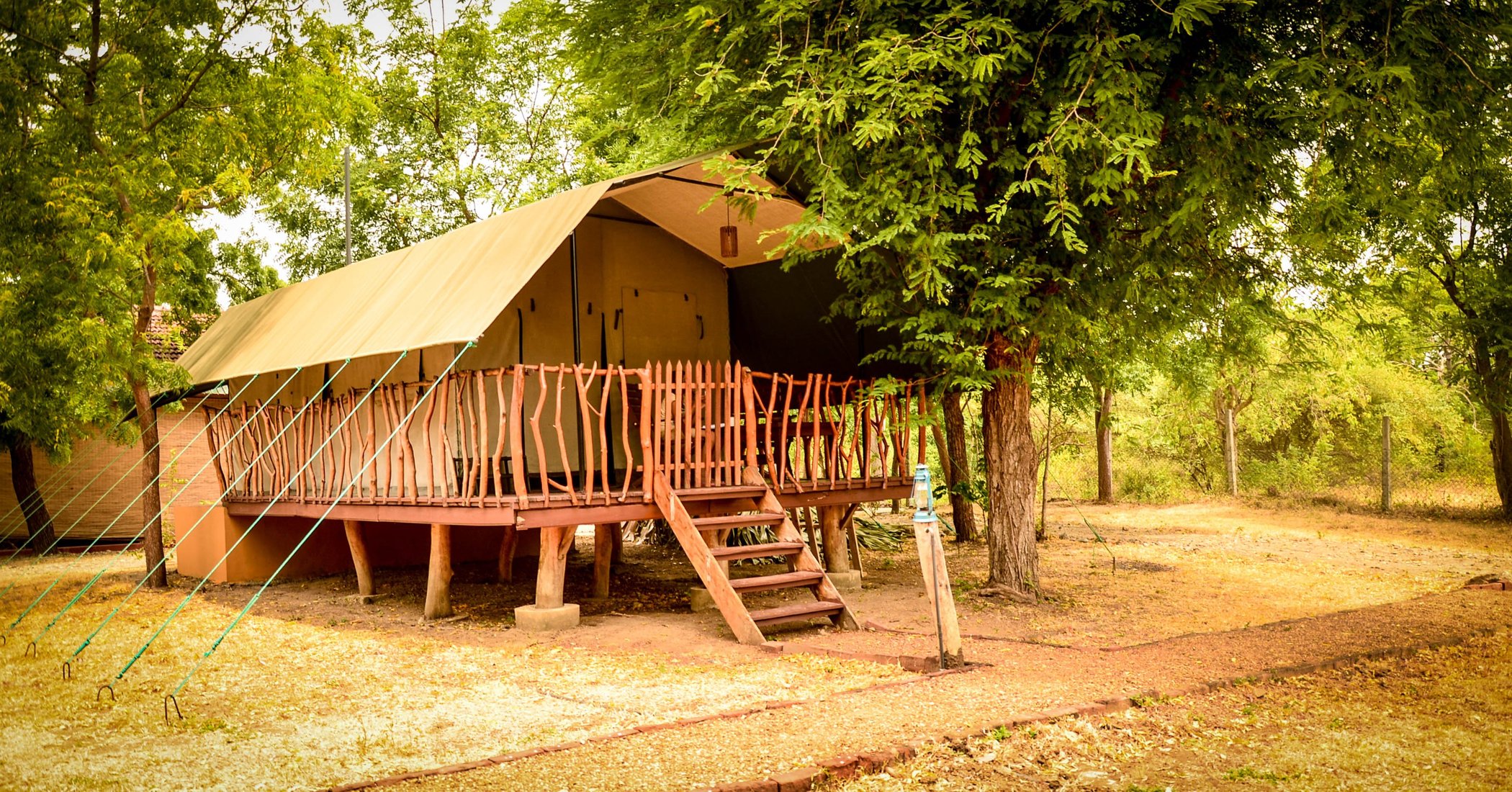 Camp Leopard - Yala Safari Glamping