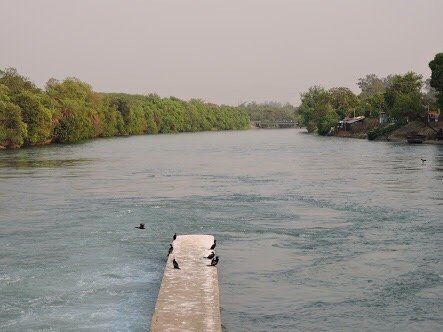 83+ most beautiful images in Ropar Wetland, Punjab, India