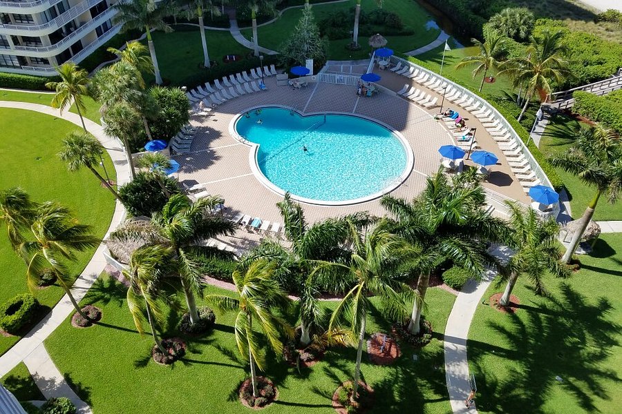 South Seas Towers Iniums, Affordable Landscaping Marco Island Fl