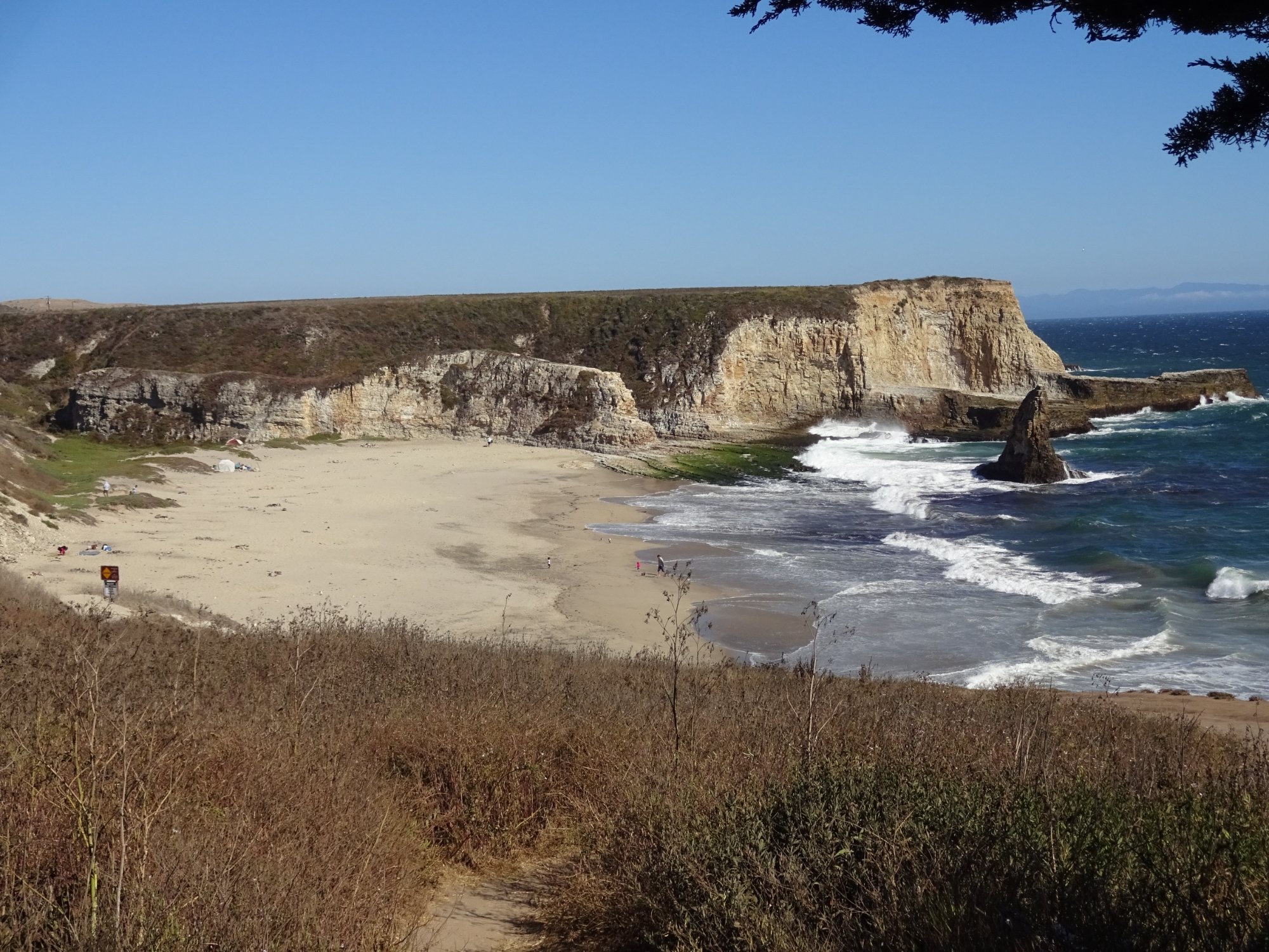 Davenport Landing Beach Everything to Know BEFORE You Go with