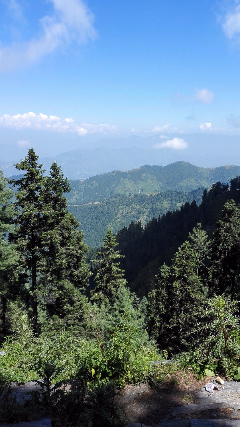 Summer in Malam Jabba is perfect for trekking