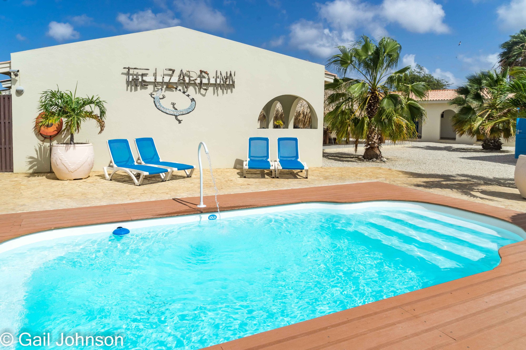 THE LIZARD INN - Prices & B&B Reviews (Bonaire, Caribbean)