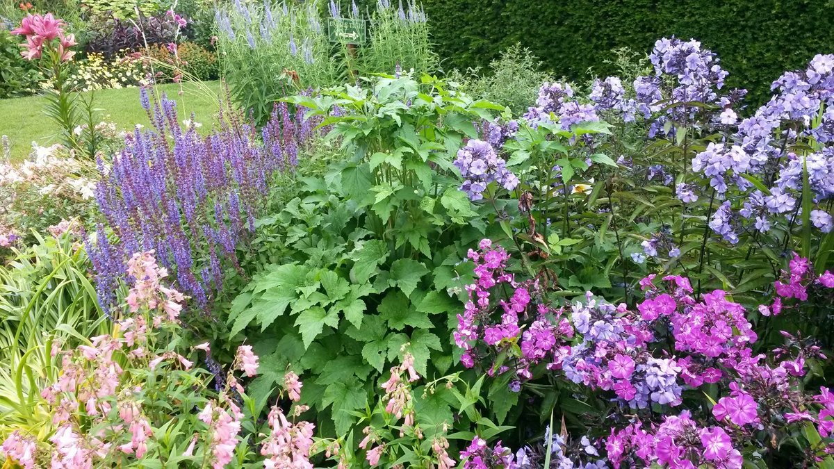 Ballyrobert Cottage Garden And Nursery (ballyclare) - All You Need To 