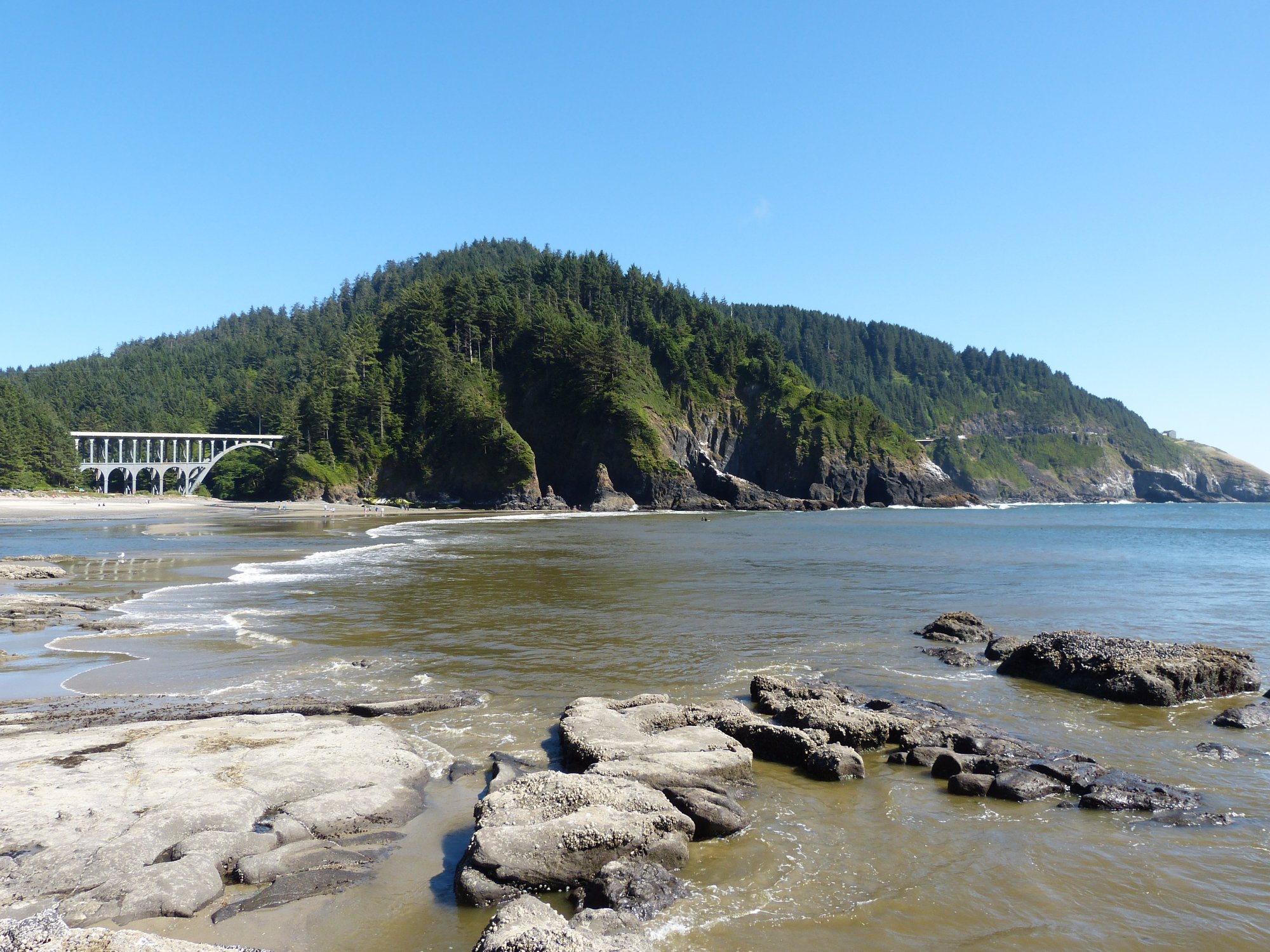 Discover Heceta Beach County Park: Your Ultimate Travel Guide