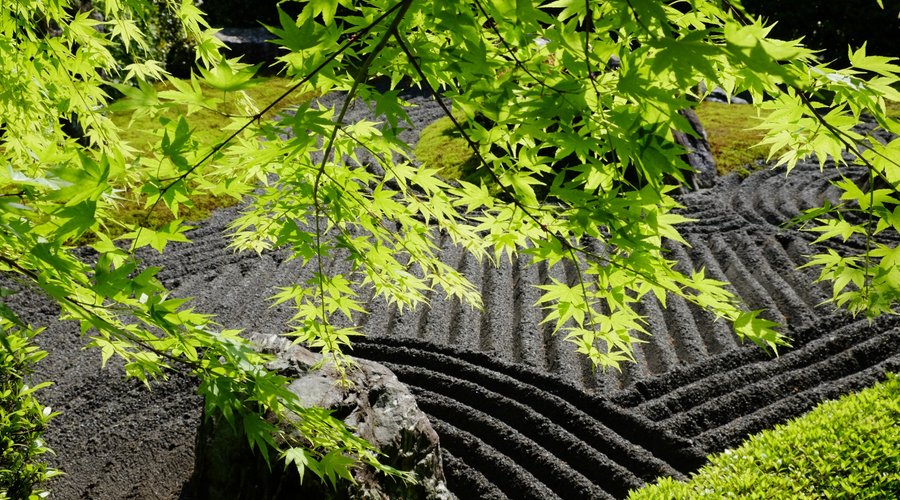 Ying rock garden