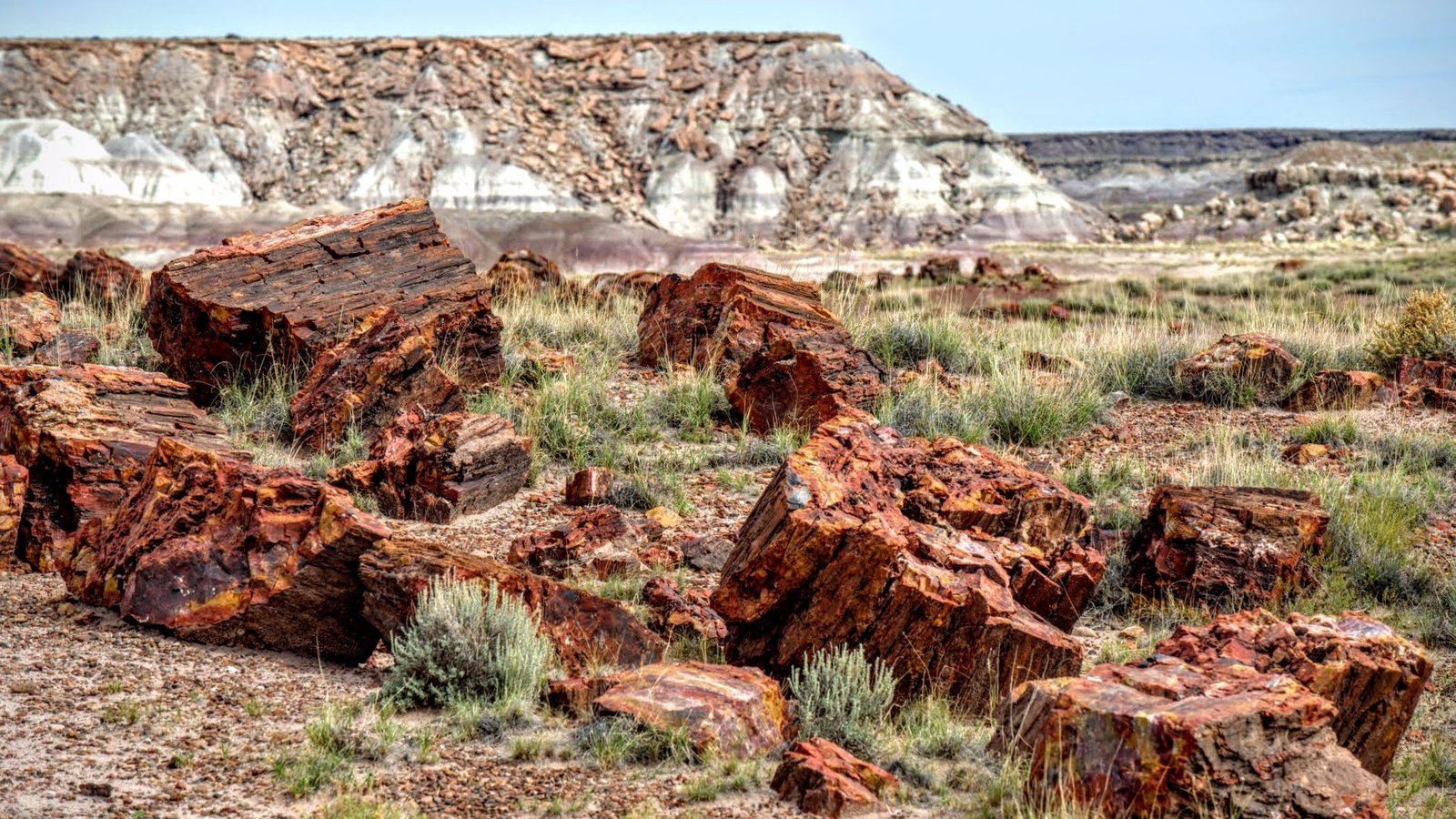 THE BEST Hotels in Petrified Forest National Park, AZ for 2023 (from ...