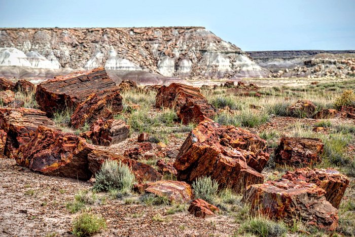 Rainbow Forest, Petrified Forest National Park
