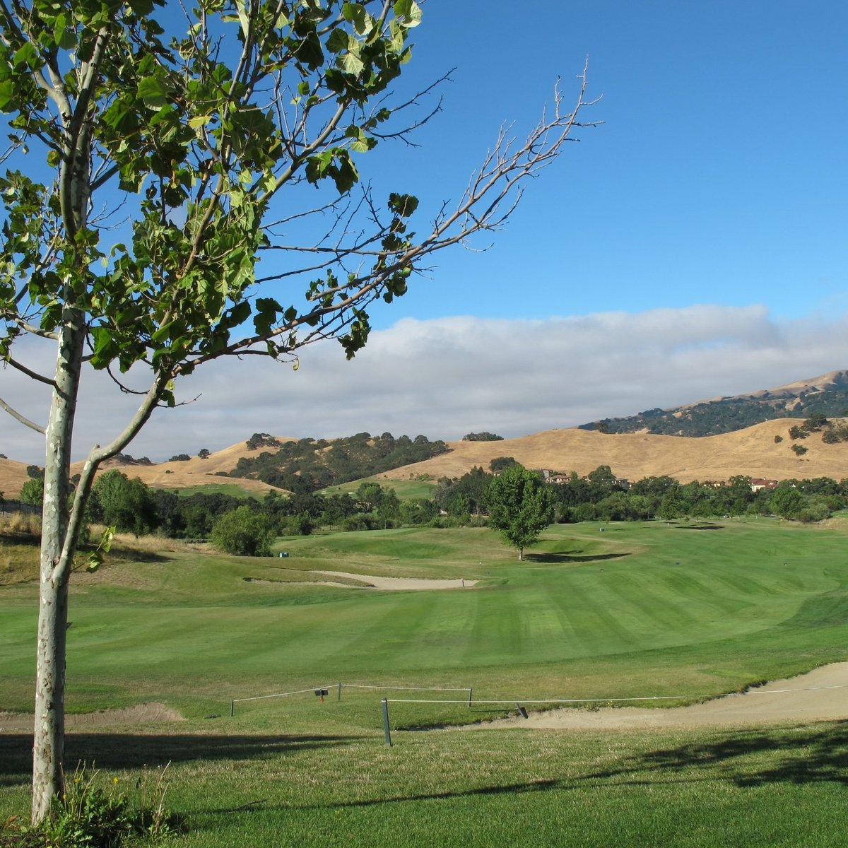 CALLIPPE PRESERVE GOLF COURSE (Pleasanton) All You Need to Know