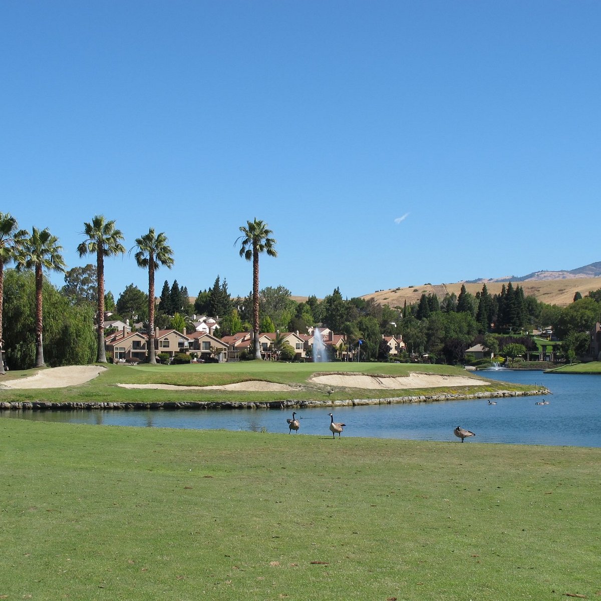 Canyon Lakes Golf Course & Brewery (San Ramon) 2021 Ce qu'il faut